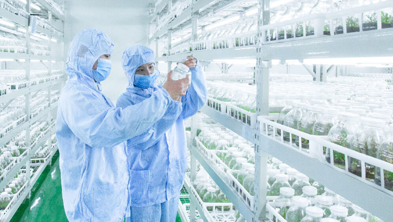 山东种质资源库的作用