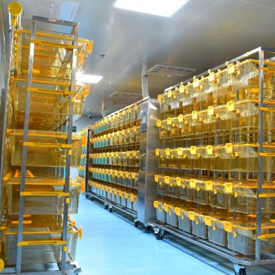 山东动物培养舱